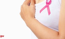 Meme ve Prostat Kanserinde Genetik Bağlantılar Hayati Önemde