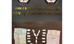 Van'da asayiş operasyonlarında yakalanan 9 kişi tutuklandı