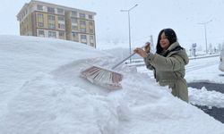 Erzurum, Ardahan, Kars, Ağrı ile Tunceli'de kar ve soğuk hava etkili oluyor
