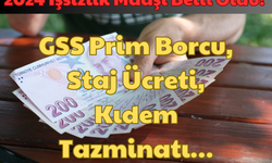 2024 İşsizlik Maaşı Belli Oldu: GSS Prim Borcu, Staj Ücreti, Kıdem Tazminatı!