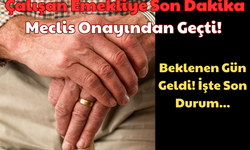 Çalışan Emekliye Son Dakika: Meclis Onayından Geçti! Beklenen Gün Geldi!