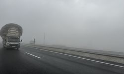 Iğdır-Ağrı kara yolunda sis ulaşımı aksatıyor