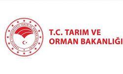 Tarım ve Orman Bakanlığı personel alacak