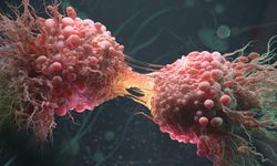 Kanser: Kanserin Sebepleri Nelerdir? Kanseri Nasıl Anlayabilirsiniz? Sık Rastlanan Kanser Türleri Nelerdir?
