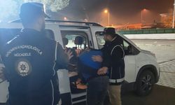Erzincan'da tır dorsesinde 22 düzensiz göçmen yakalandı