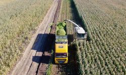 Tarım-ÜFE Kasım’da Yıllık %31,45 Arttı, Aylık Bazda Geriledi