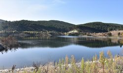 DSİ 3 yılda 420 bin hektar tarım alanını suyla buluşturacak