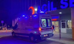 Erzincan'da dereye devrilen otomobildeki 1 kişi öldü, 1 kişi yaralandı