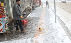 Van, Muş ve Bitlis'te kar nedeniyle 158 yerleşim yerinin yolu kapandı