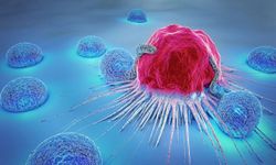 'Kanser Tedavisi' İçin 32 Farklı İlaç Geliştirdi
