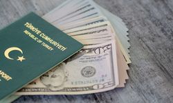 Yeşil Pasaport Kimlere Verilir? Başvurusu nasıl yapılır?