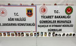 Ağrı'da bir tırda 9 kilo 776 gram uyuşturucu ele geçirildi