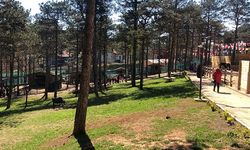Hafta Sonu Erzincan'da Hava Nasıl Olacak?