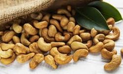 Kaju Tüketiminde Dikkat: Çiğ Kaju Riskli midir?