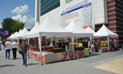 Tatvan'da "Yöresel Ürünler Festivali" başladı