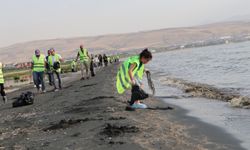 Van Gölü sahilinde biriken çöpler temizlendi