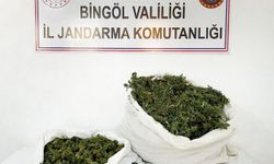 Bingöl'de 12 kilo 460 gram esrar ele geçirildi