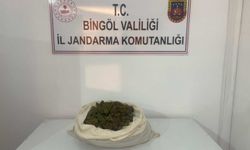 Bingöl'de 815 kök Hint keneviri ve 3 kilo 762 gram esrar ele geçirildi