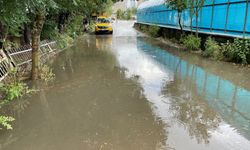 Bitlis'te sağanak etkili oldu