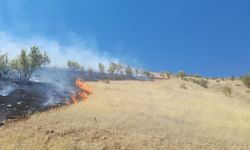 Elazığ'da çıkan orman yangını kontrol altına alındı