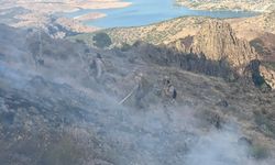 Tunceli'de ormanlık alanda çıkan örtü yangınının söndürülmesi için çalışmalar sürüyor