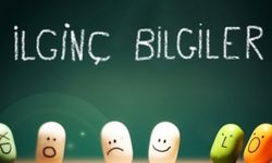 Daha önce hiç duymadığınız 25 ilginç bilgi