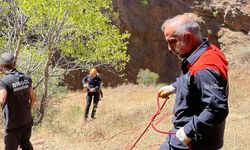 Bingöl'de kayalıklarda mahsur kalan 3 keçiyi AFAD ve jandarma ekipleri kurtardı