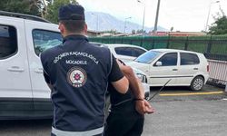 Erzincan'da 5 düzensiz göçmen yakalandı