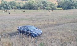 Erzincan’da iki otomobilin çarpışması sonucu 6 kişi yaralandı