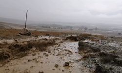 Erzincan'da Sel, Büyük Taşları Yerlerinden Sökerek Tarım Arazilerine Bıraktı(VİDEO HABER)