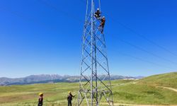 Muş'ta ekipler, elektrik şebekesini güçlendiriyor