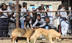 Bitlis'te 4 Ekim Hayvanları Koruma Günü etkinliği