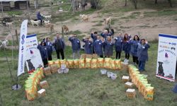 CarrefourSA "Dost Hareketi" ile sokak hayvanlarına desteğe devam ediyor