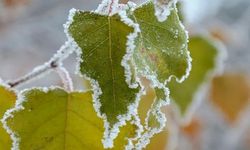 Meteoroloji’den Don Uyarısı!