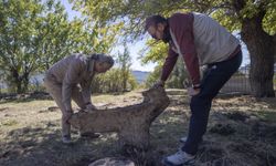 Tunceli Müzesi ekipleri, kültürel varlıkların tespit ve tescili için sahada