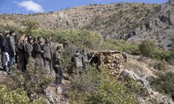 Tunceli'nin dağlarındaki kaçak avcıların kulübeleri yıkılıyor, yaban hayatı korunuyor