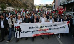 Van ve Bitlis'te İsrail'in Gazze'ye yönelik saldırıları protesto edildi