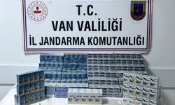 Van'da jandarma ekiplerinin kaçakçılık operasyonlarında 95 şüpheli yakalandı