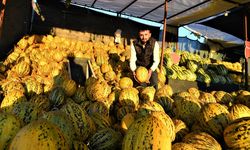 Arguvan’ın Efsanevi Narmikan Kavunu Sofralarda Yerini Alıyor