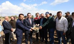 Bitlis'te 192 Ton Patates İhtiyaç Sahibi Ailelere Ulaştırıldı