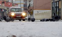 Doğu Anadolu'da Kar Yağışı Etkisini Gösterdi: Kars, Ardahan, Ağrı ve Tunceli Beyaza Büründü