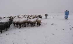 Erzincan'da kar ve tipi üreticileri yaylalara hapsetti! (VİDEO HABER)