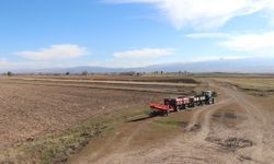 Erzurum'da patates üreticileri, emeklerinin karşılığı için lisanslı depo kurulmasını istiyor