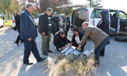 Erzincan'da goji berry yetiştiriciliği başladı