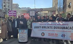 "HAK-İŞ Van ve Muş'ta kadına yönelik şiddete karşı meydanlarda: 'Şiddetin her türlüsüne karşıyız!'"