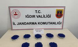 Iğdır'da 508 kaçak botoks ilacı ele geçirildi