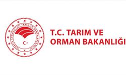 Tarım ve Orman Bakanlığı bazı illerde  işçi alımı yapacak! İşte başvuru şartları ve detaylar