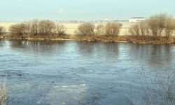 Kars ve Ardahan'da soğuk hava etkili: Ağaçlar beyaza büründü, derelerde buz tabakası oluştu