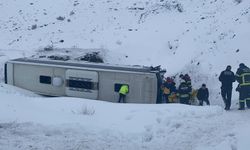 Sakaltutan'da Yolcu Otobüsü Şarampole Devrildi: 4 Yaralı