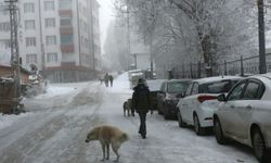 Erzurum Tekman Türkiye'nin En Soğuk Yeri Oldu: Sıfırın Altında 17 Dereceyi Gördü